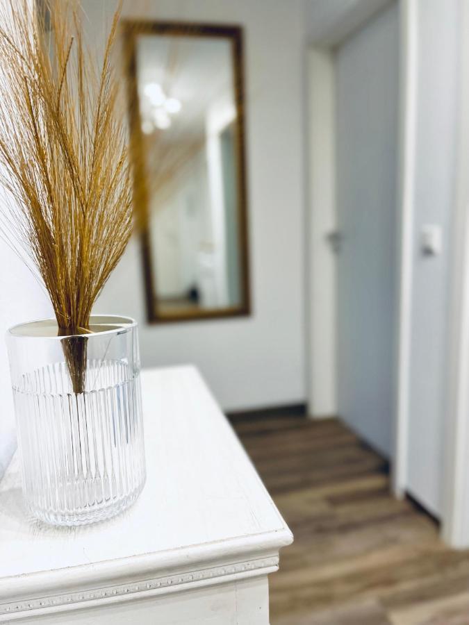 Modernes 3 Zimmer Apartment - Luise- Mit Wlan, Balkon Und Smart-Tv In City-Nahe! Erfurt Eksteriør billede